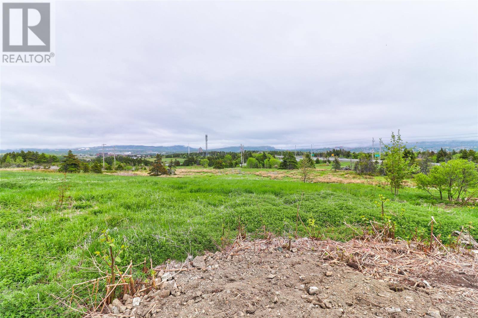 434 Allandale Road, photo 16 of 28