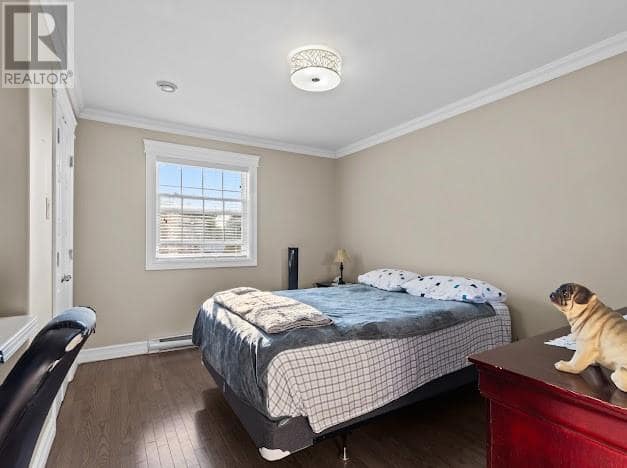 11 Chaytors Place, photo 24 of 42