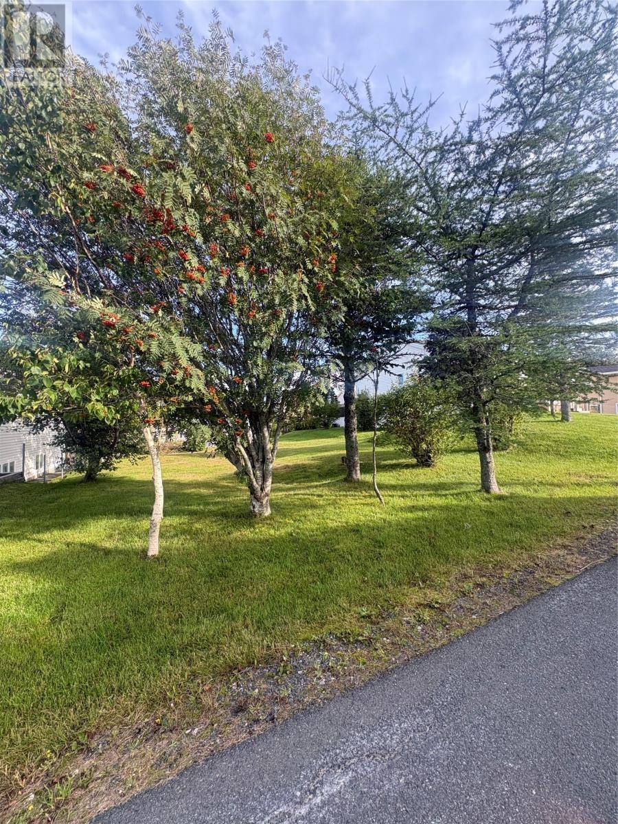15 Cedar Drive, photo 4 of 5