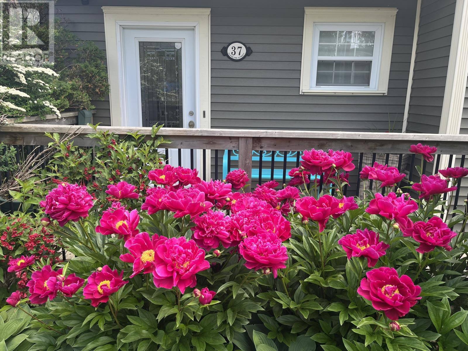37 Gleneyre Street, photo 2 of 28