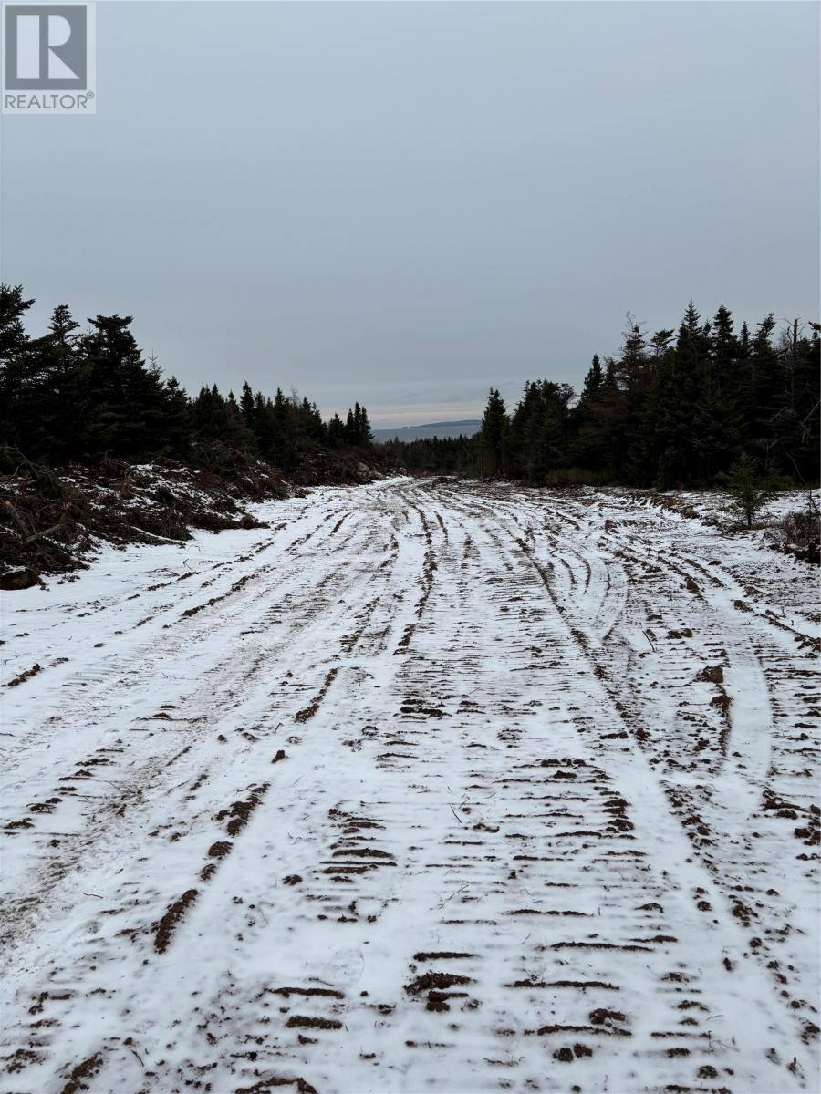 Lot 3 Silas Morgan Estates, photo 2 of 2