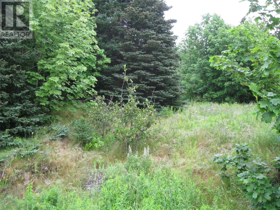 56 N Robert's Road N, photo 1 of 8
