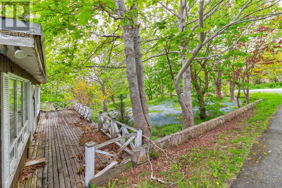 434 Allandale Road, photo 6 of 28