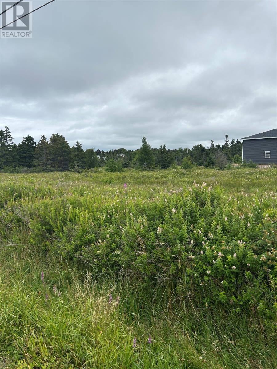 32 Dawes Place, photo 6 of 15
