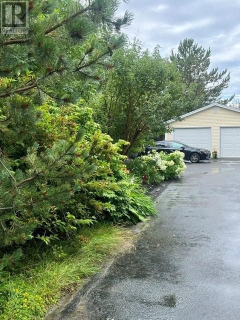 125 Cherry Lane, photo 13 of 39