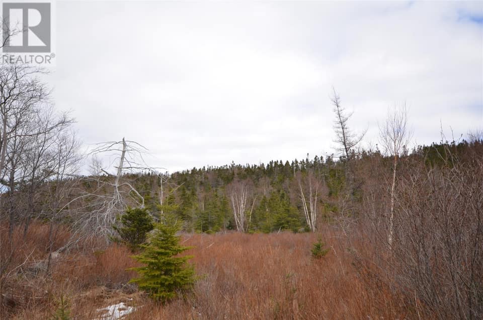 125-127 Red Bridge Road, photo 4 of 8