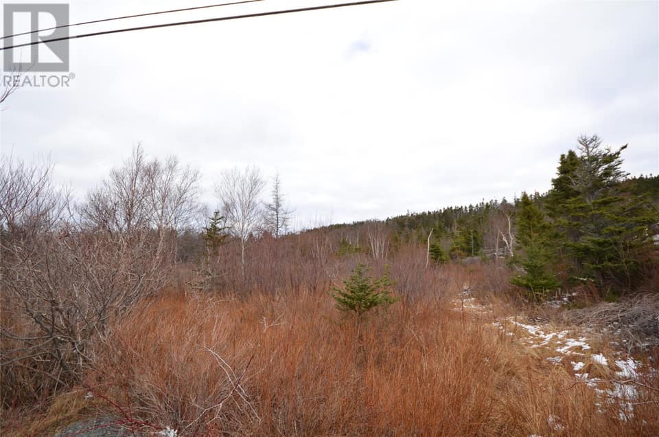 125-127 Red Bridge Road, photo 5 of 8