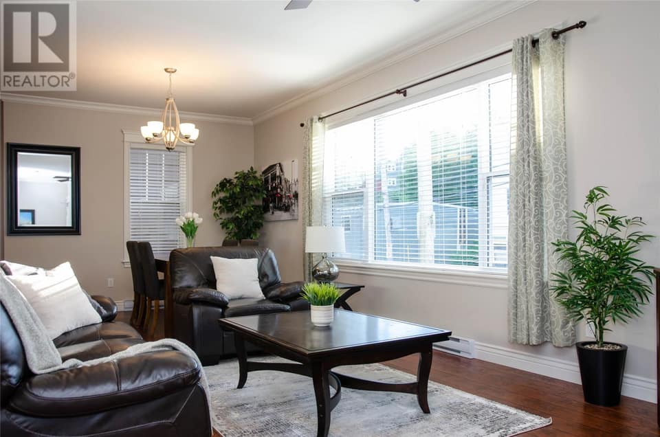 17 Livingstone Street, photo 31 of 44